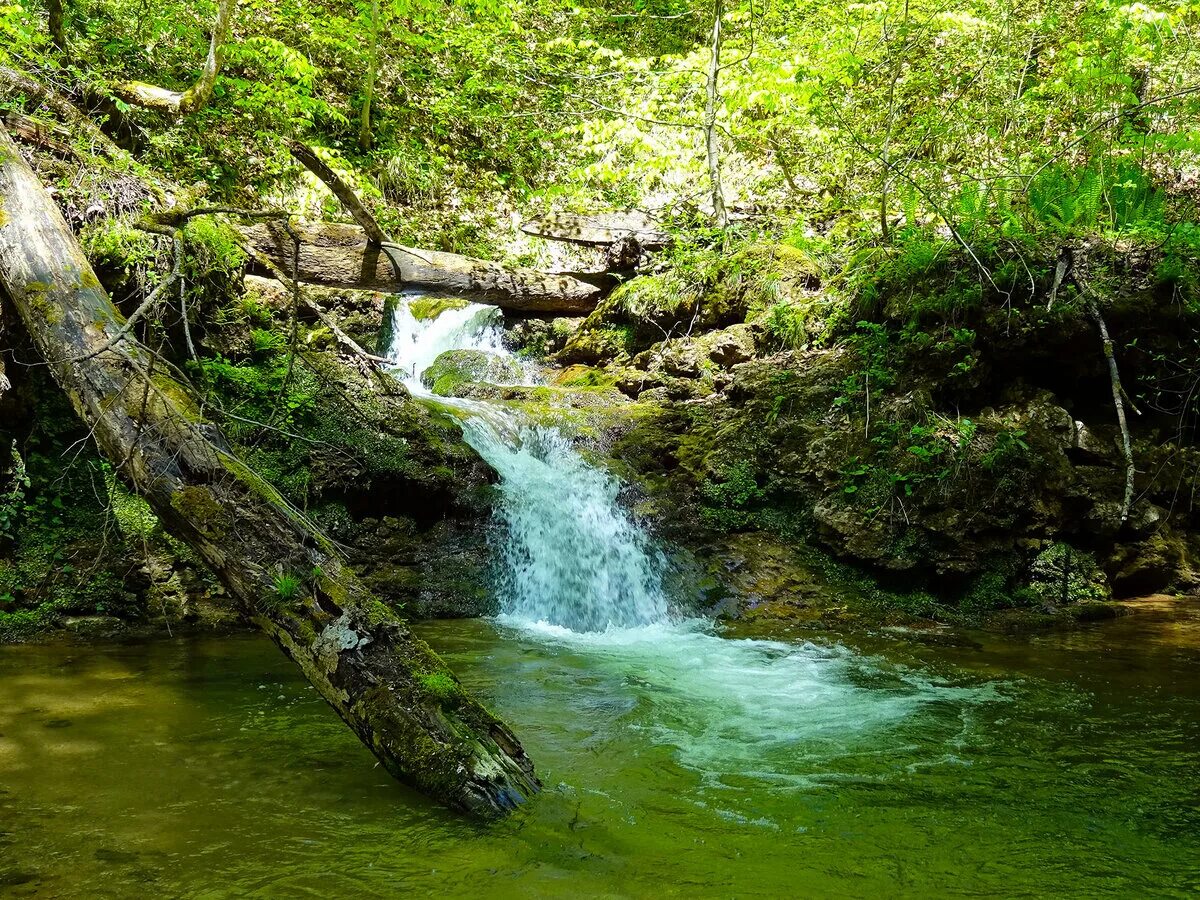 Речка Куба горный Алтай. Речка Куба Чемал. Река Кауто Куба. Река Силар.