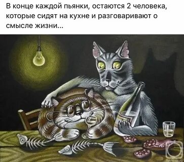 Пит кот