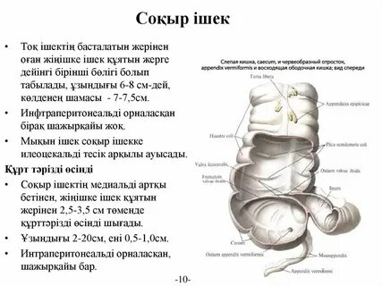 Люссис Лопес пен Сара Джей денелерін көрсетіп, бір-бірін соншалықты нәзік сипады