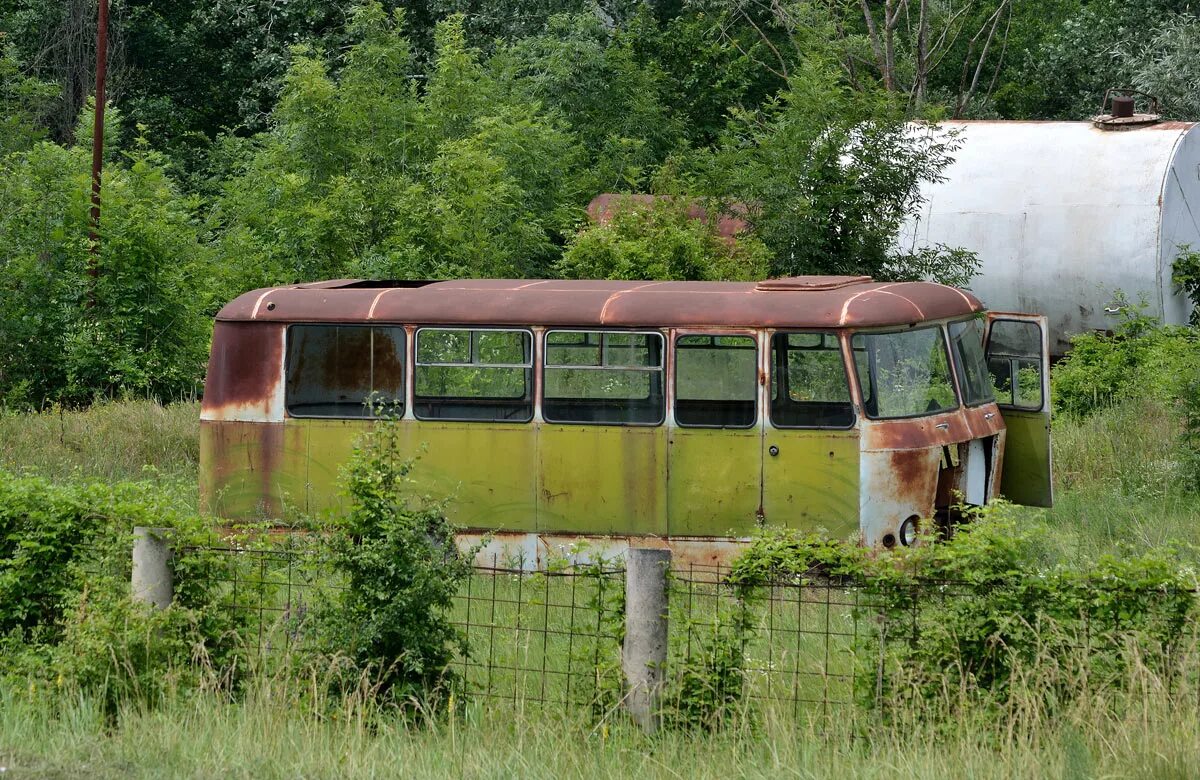 Автобус плодовое. Заброшенный автобус. Старый заброшенный автобус. Списанные автобусы. Сарай из автобуса.