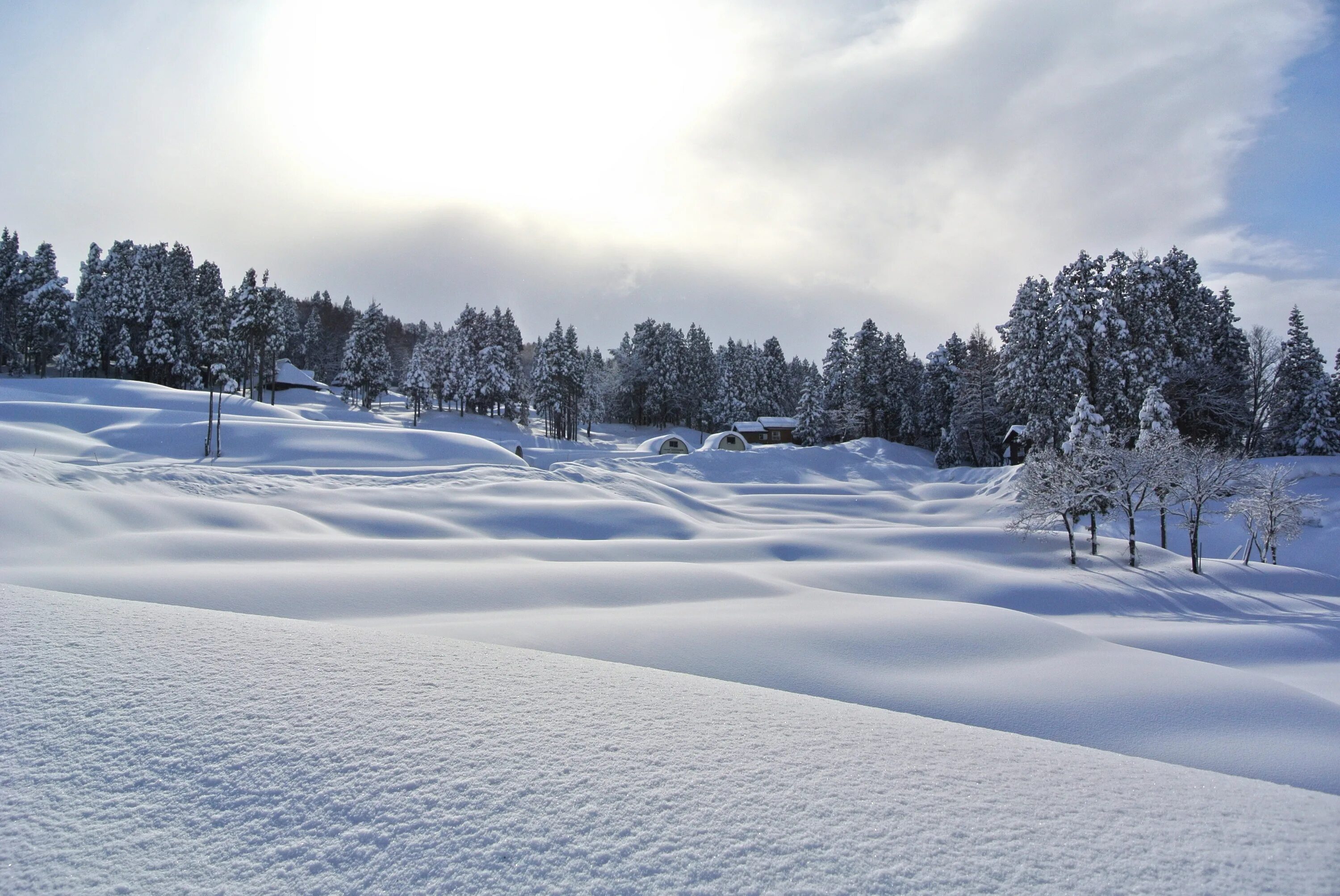 Fresh snow