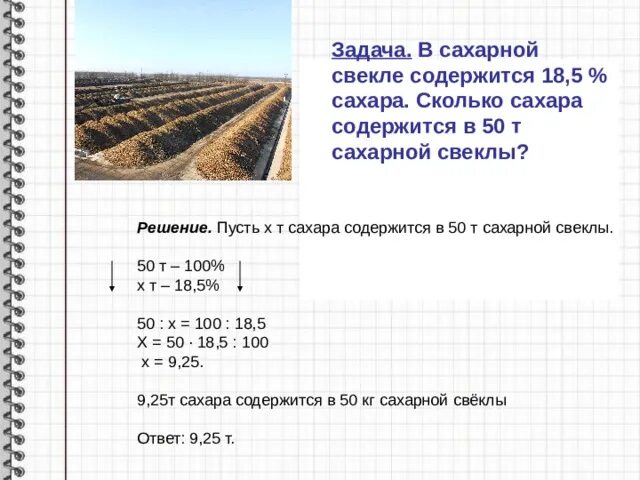 Сколько сахара из килограмма свеклы. Сколько сахара из килограмма свеклы. Из 10 кг сахарной свеклы получают 2 кг сахару. Из 10 кг сахарной свеклы получают 2 кг сахару. Сахар в сахарной свекле в процентах.