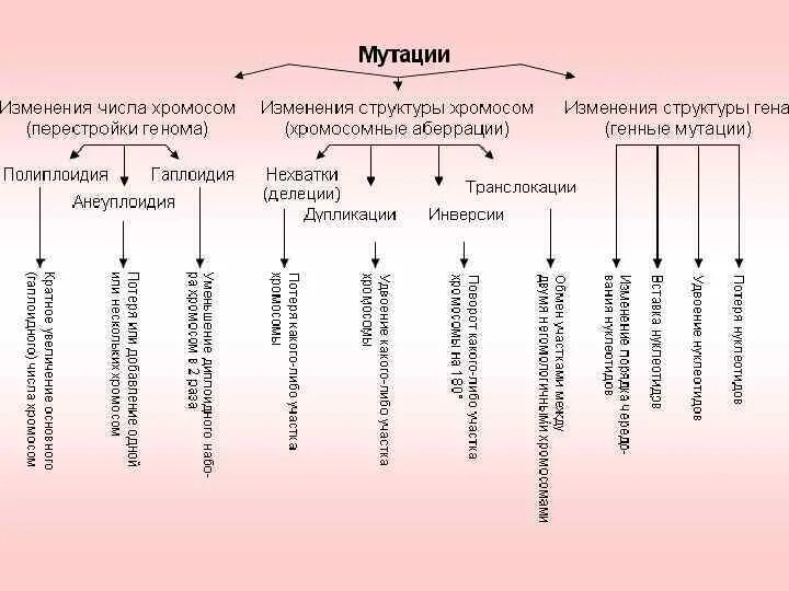 Хромосомные мутации методы генетики. Классификация мутаций генные хромосомные геномные. Классификация мутаций генные хромосомные геномные таблица. Схема мутации генные хромосомные геномные. Генные геномные хромосомные мутации таблица.