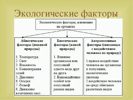 Природные условия в экологии