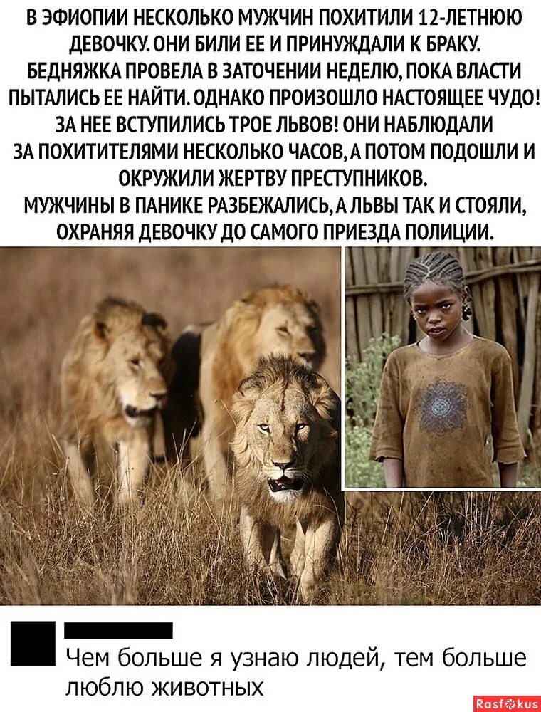 солдат снял пулемёт с дерево разобрать предложение. они меня тапком. потом подойдешь. он бросал меня пару раз а потом. а еще она меня тапком била.