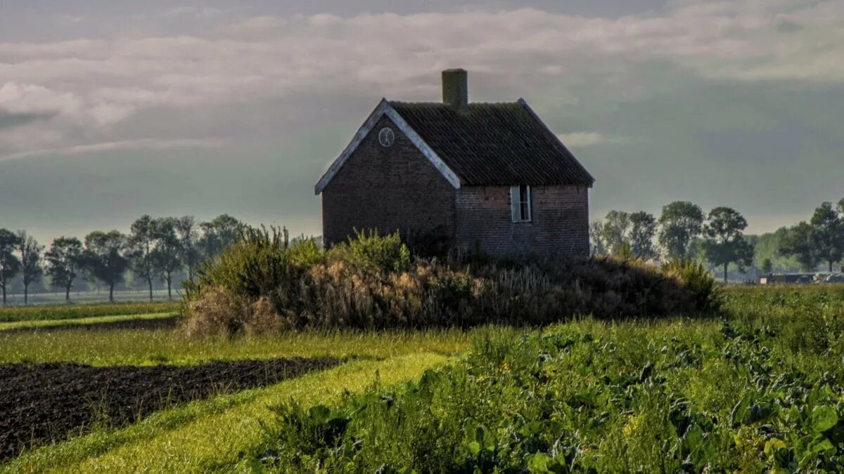 Где сельская местность. Сельскохозяйственная местность. Дом с хозяйством. Нидерланды сельское хозяйство с домиком. Сельский дом с хозяйством.