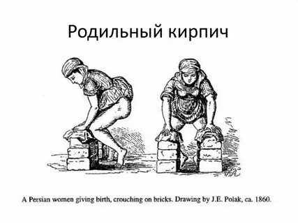 Кирпич род
