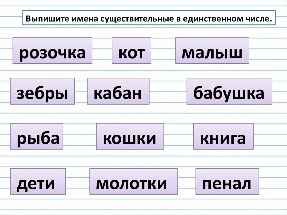 Подчеркнуть слова обозначающие имя существительное. Задание по русскому языку единственное и множественное число. Единственное и множественное число существительных 2 класс задания. Русский язык единственное и множественное число задания. Единственное и множественное число имен существительных задания.