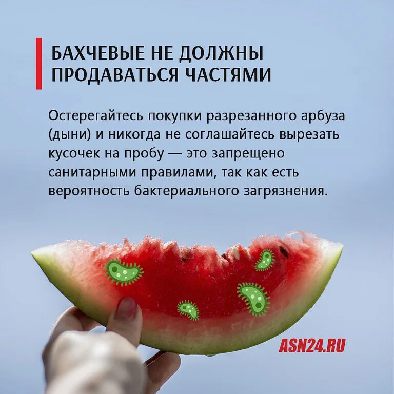 Арбуз сейчас можно. Сладкий Арбуз. Плодоножка арбуза. Настоящий Арбуз. Как выбрать сладкий Арбуз.