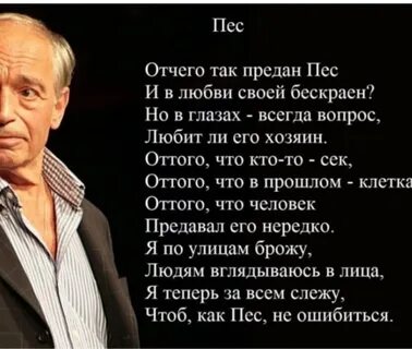 Гафт стихи