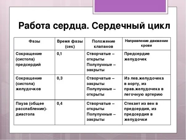 Фазы сердечного цикла таблица 8 класс биология. Биология фазы сердечного цикла таблица. Фазы работы сердца таблица. Таблица сердечный цикл 8 класс биология.