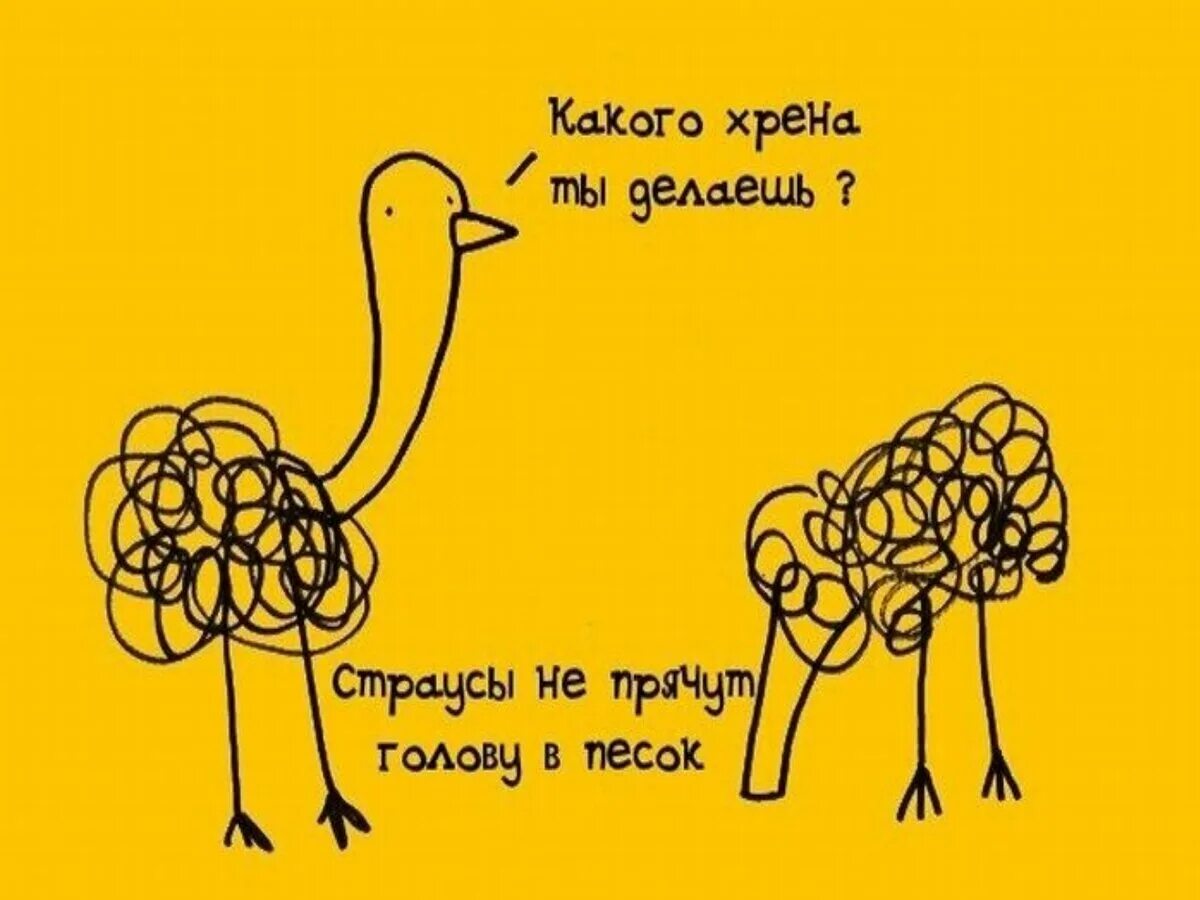 Несуществующие факты. Интересные факты в картинках. интересные факты рисунок. интересные смешные факты. интересные факты в картинках прикольные.