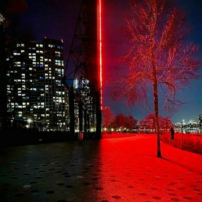 Фрактальные образы животных. Весёлые надписи на футболках. Красивые картинки без людей. Яркий фон. Красно чёрное неоновое дерево.