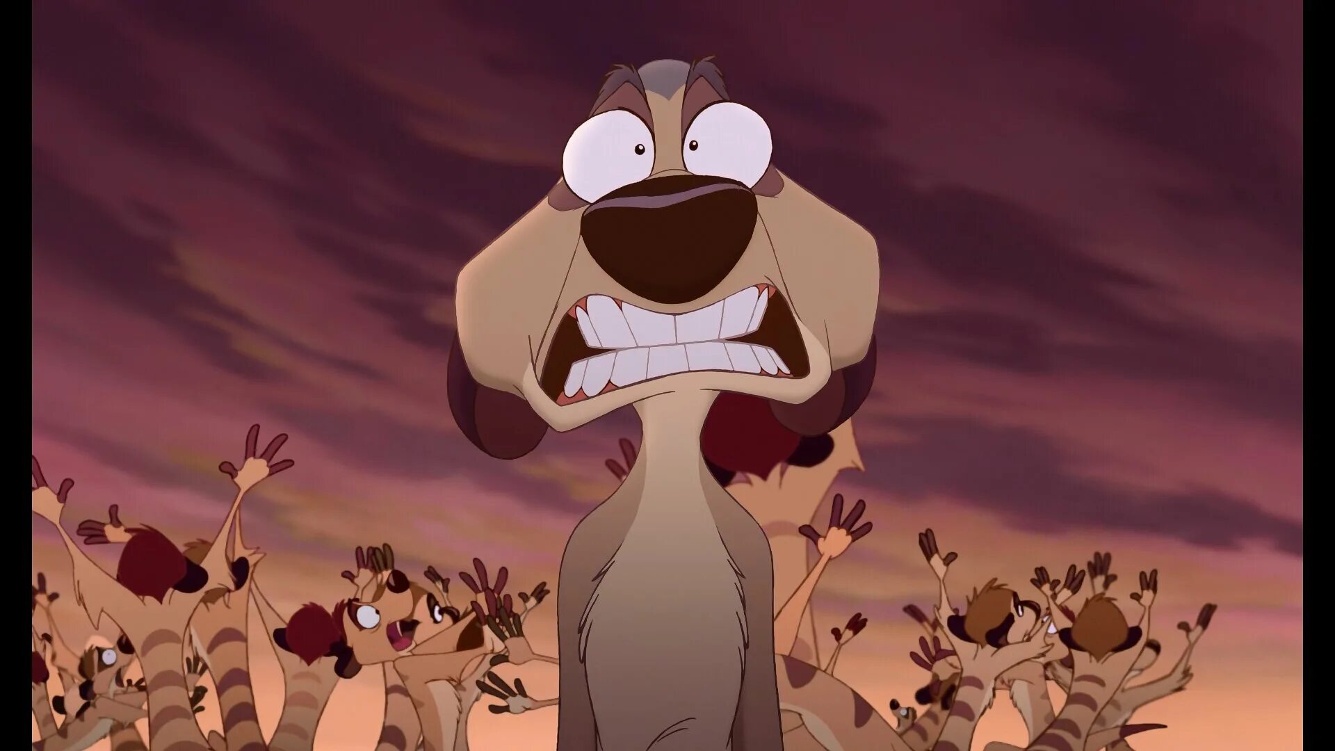 Timon rdd