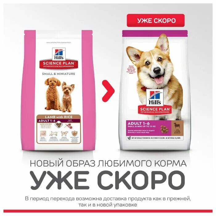 Hills сухой ягненок для собак. Hills сухой ягненок для собак. Хиллс ягненок рис для собак 7 средних пород 12 кг. Сухой корм для собак средних пород с ягненком и рисом хиллс. Хилс ягненок с рисом для щенков всех пород 2,5 хиллс.