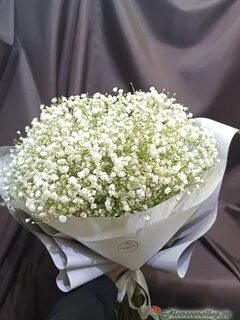 Сколько гипсофилы букет