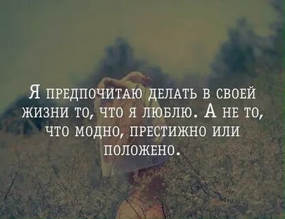 В вашей жизни вы провели