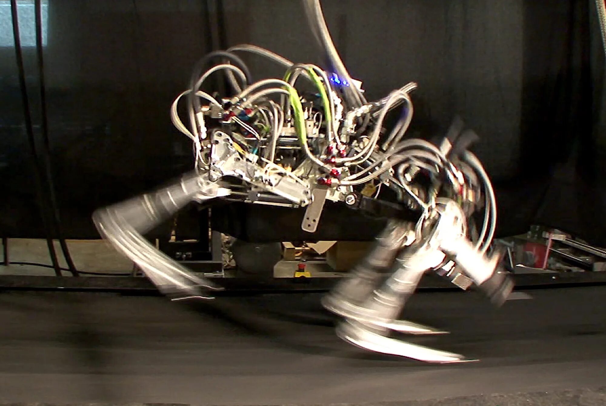 Robot de jole by gaspr. Cheetah робот Boston Dynamics. Робот Бостон Динамикс гепард. Робот-гепард – Cheetah. Cheetah 2, Boston Dynamics, США.
