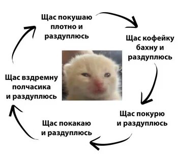 Раздуплиться