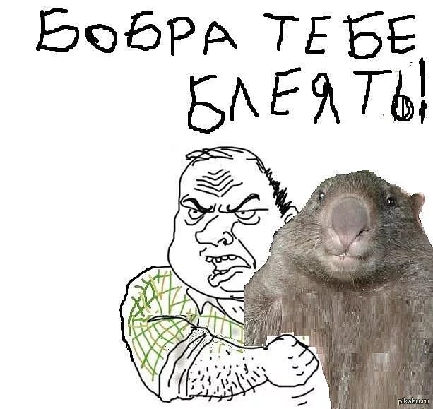 Хочу бобра