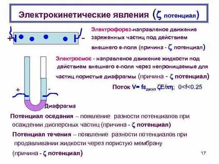 Потенциал течения