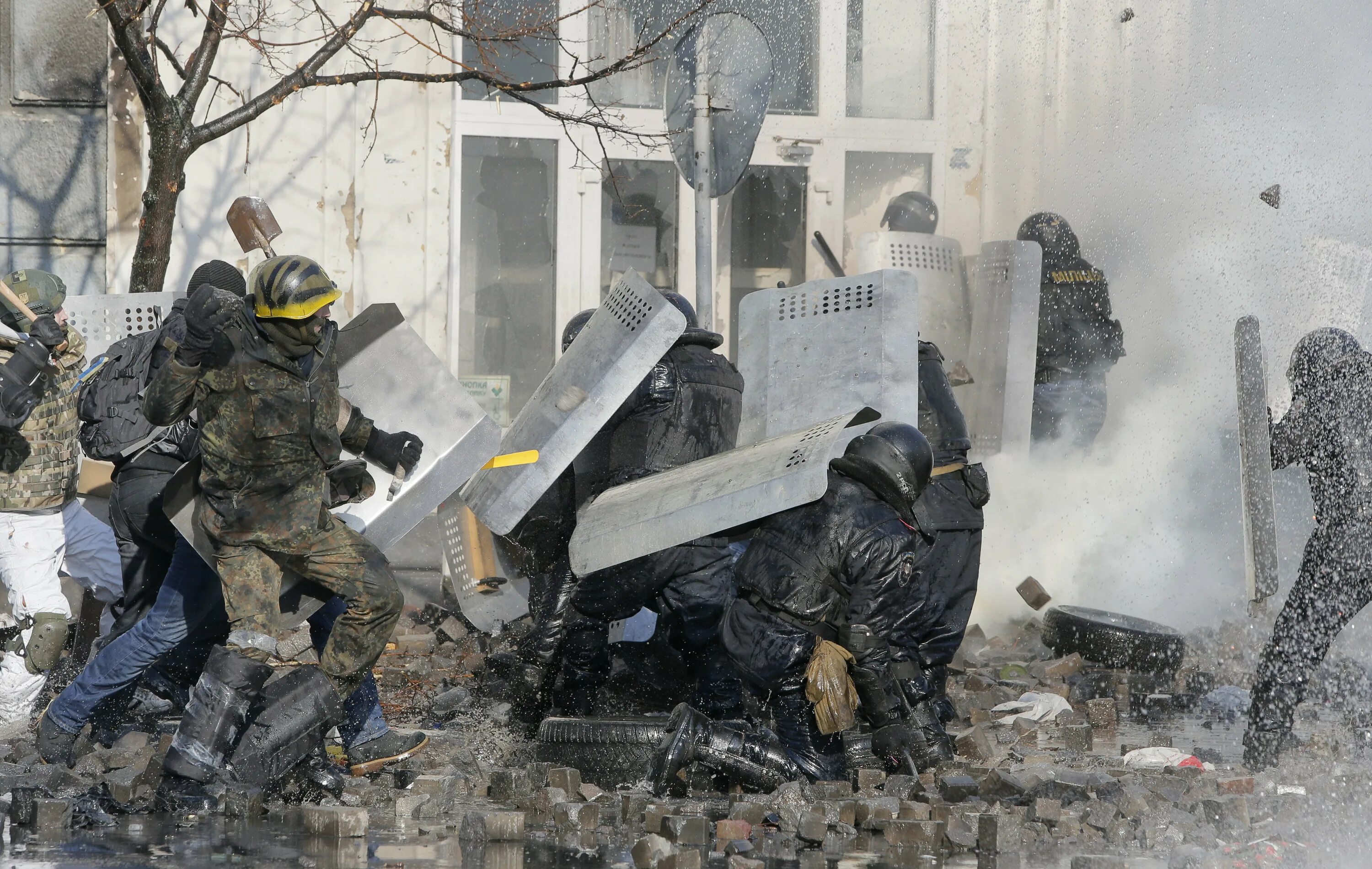 Сколько погибло беркута на майдане. Беркут Украина Майдан на Украине в 2014.