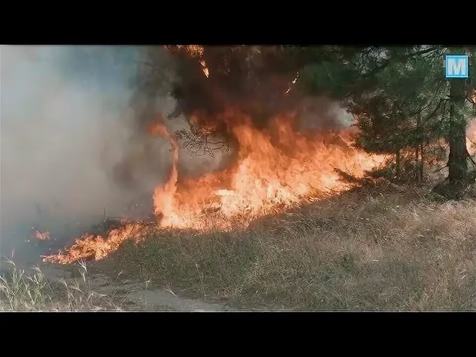 Не горит летом. Не горит летом