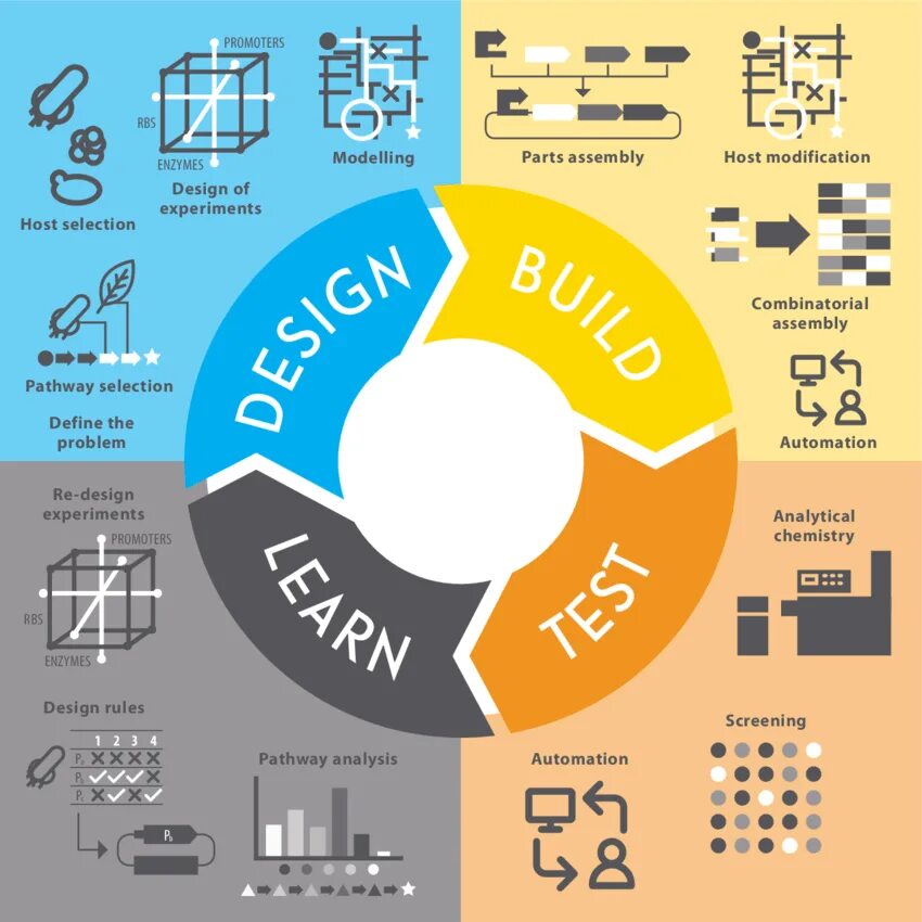 Цикл логотип. Design-build-Test Cycle. \Design–build–Test–learn Cycle. Test and learn.