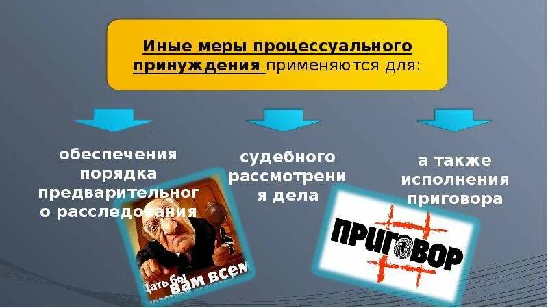 Меры уголовно-процессуального принуждения. Иные меры уголовно-процессуального принуждения. Меры процессуального принуждения. Меры пресечения и иные меры процессуального принуждения.