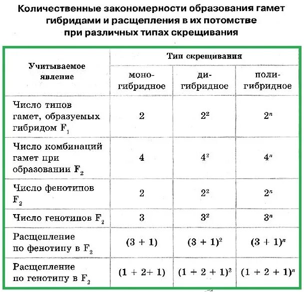 Независимое наследование признаков сколько типов гамет. Типы скрещивания. Виды скрещивания таблица. Типы скрещивания в генетике. Расщепления по фенотипу таблицы.