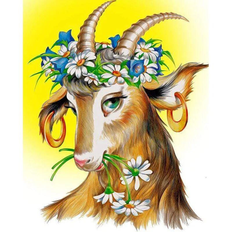 Каза год. Коза рисунок. Goat (ангорская коза). Год козы. Коза картинка.