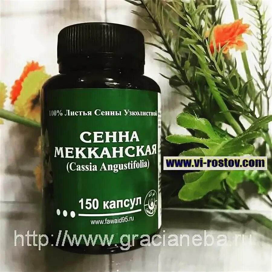 Чай сенна мекканская из египта. Сенна мекканская противопоказания. Мекканское сено. Чай сенна мекканская. Сенна мекканская в капсулах.