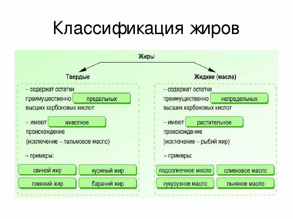 Исключения жиров. Кластер классификация жиров. Жиры классификация химия. Схема классификации жиров. Классификация жиров по происхождению и по агрегатному состоянию.