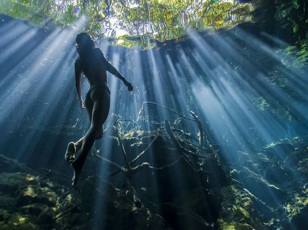 Снимок года. Подводный мир амазонки. Самые удивительные фотографии National Geographic. Лучшие фото. Самые лучшие фотографии мира National Geographic.
