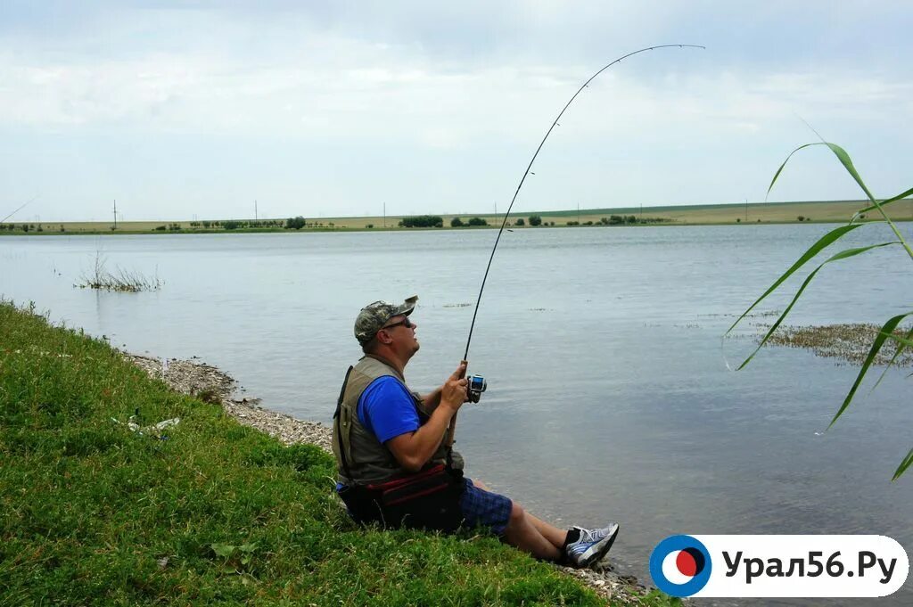 Река Урал Оренбург рыбалка. Рыбалка в Оренбурге. Рыбаки Оренбурга. Рыбалка в Оренбурге и Оренбургской области.