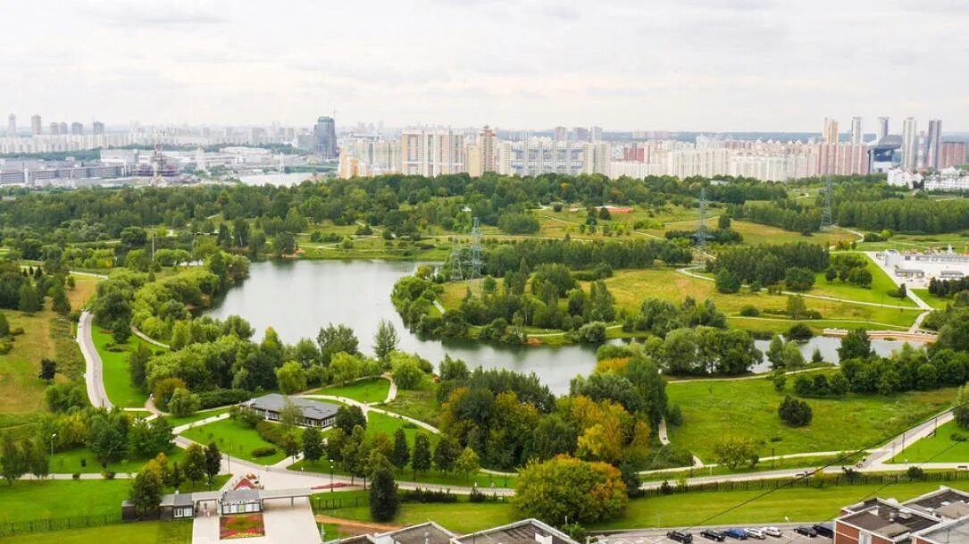 Лето в москве митино. Митинский ландшафтный парк. митино ландшафтный парк «митино». ландшафтный парк митино красногорск. литинский ланшафтный парк.