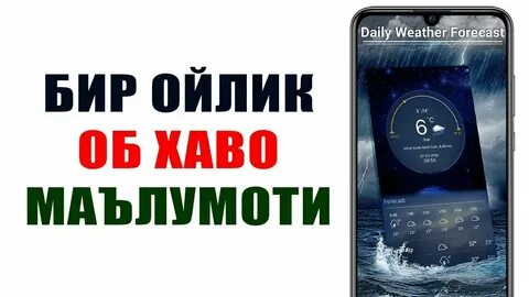 Курс бир ойлик