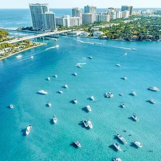 Miami live