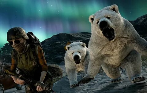 Bring bear