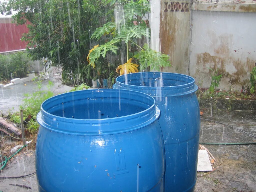 Бочка для воды. Ведро дождевой воды. Кадка с водой. Декоративная бочка для воды. Залив воды в бочку