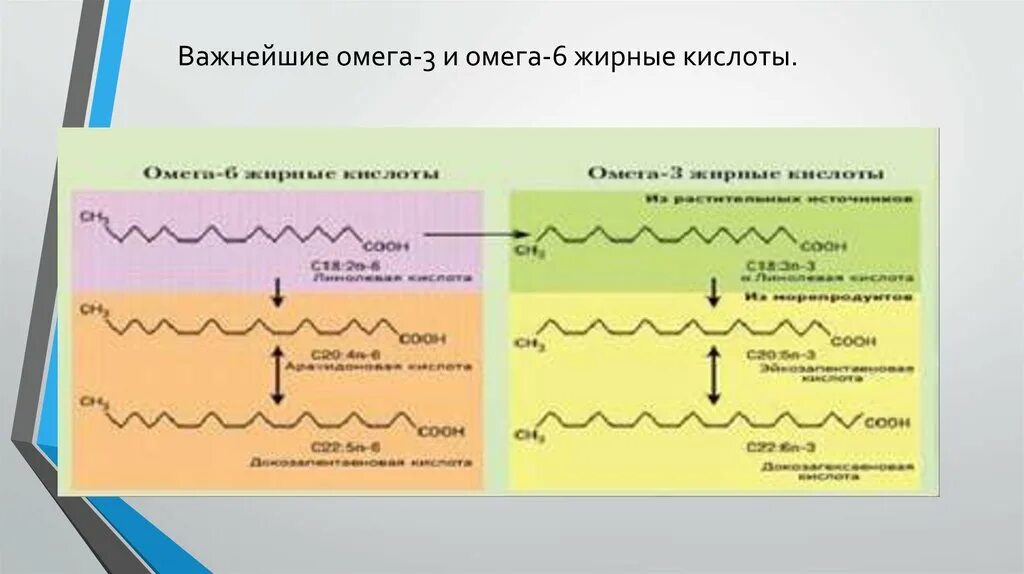 Источники омега 9 жирных кислот тест. Омега 3 и 6 жирные кислоты. Ω-6 жирных кислот. Омега-3 и Омега-6 жирные кислоты биохимия. Омега 6 жирные кислоты строение.