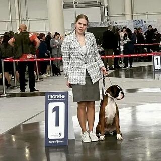 Выставка собак самара сентябрь