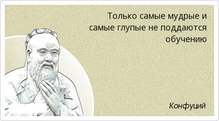 Глупая мудрость это