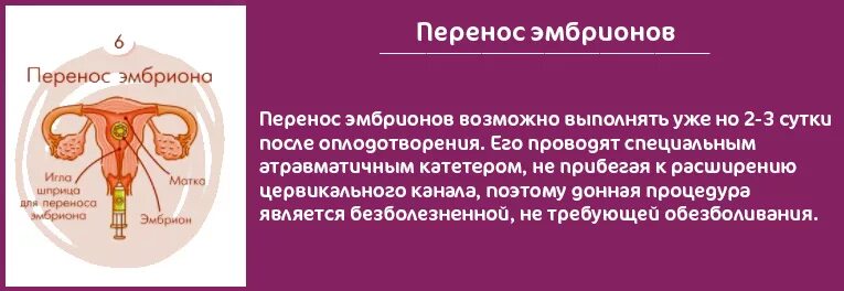 Пункция забора яйцеклетки. Пункция фолликулов яичников. Что делают после пункции фолликулов при эко. Рекомендации перед пункцией фолликулов при эко. Боли после пункции фолликулов