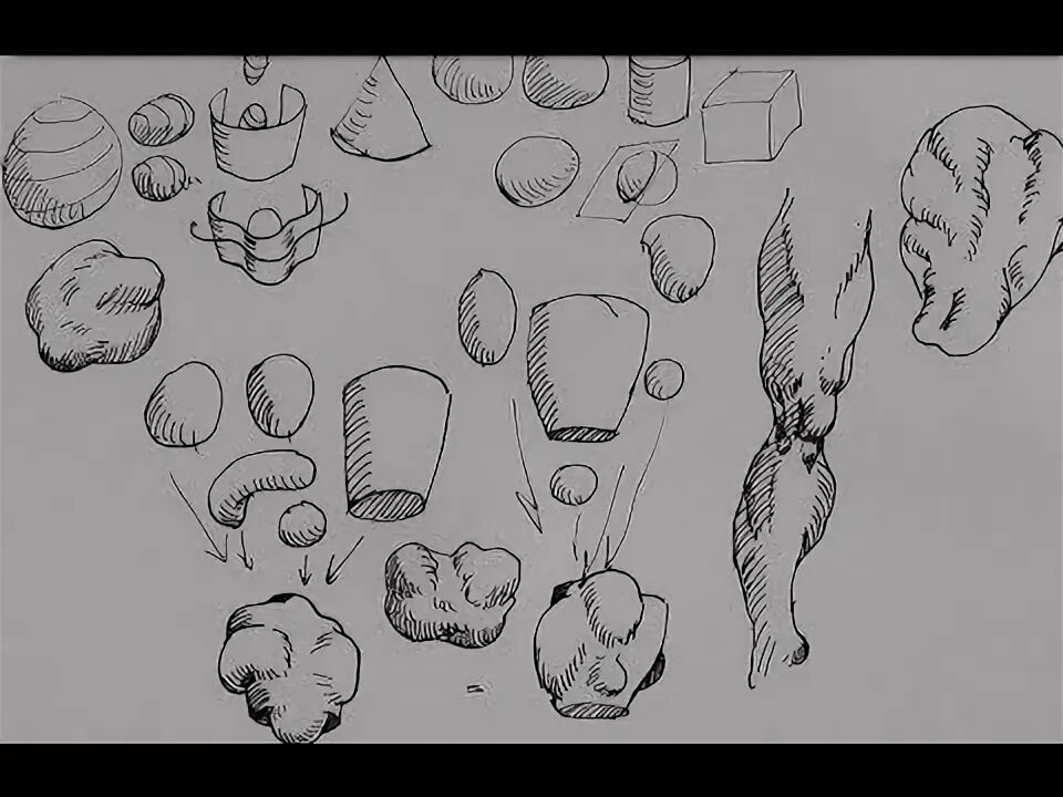 Draw forms. Draw forms