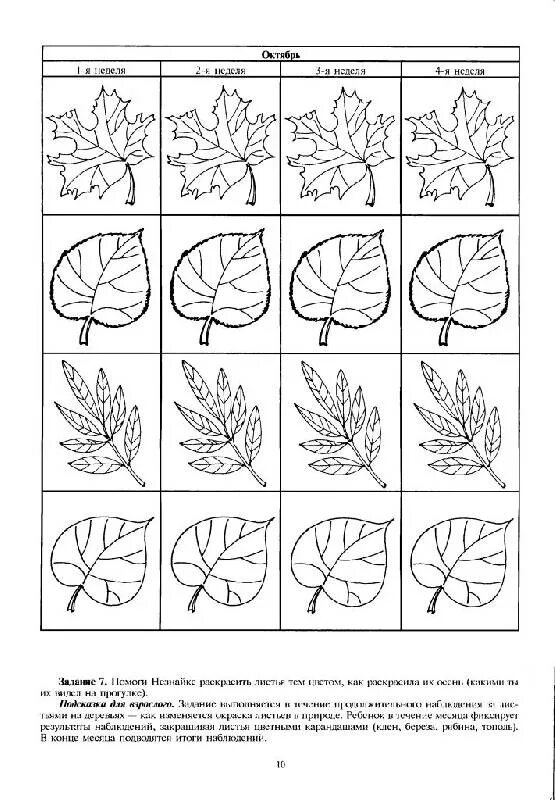 Осенние задания для дошкольников. Деревья задания для дошкольников. Листья задания для дошкольников. Задания кусты для дошкольников. Тема деревья в подготовительной группе
