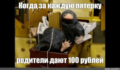 Каждому по пятерке