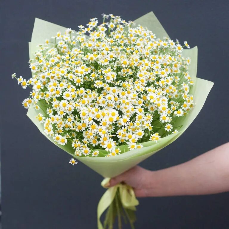 Мелкая ромашка кустовая матрикария. Ромашки кустовые букет. Букет из кустовых ромашек. Кустовые ромашки букет. Букет из ромашек картинки красивые.