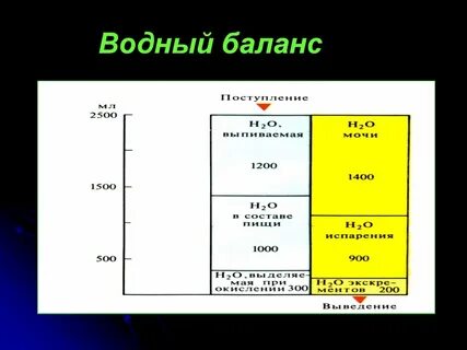 Водный баланс водоема