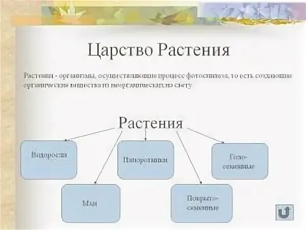 Царь в царстве растений